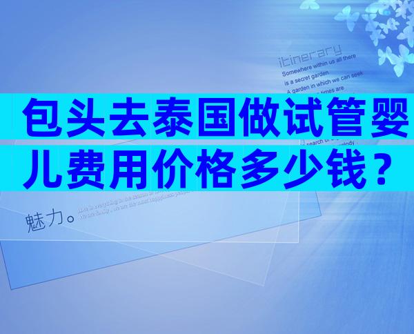 包头去泰国做试管婴儿费用价格多少钱？