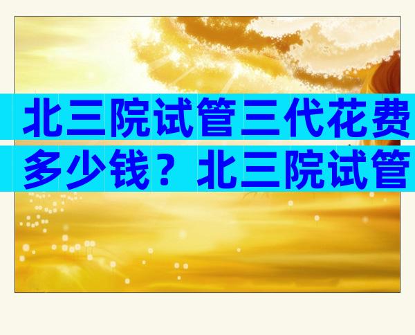 北三院试管三代花费多少钱？北三院试管三代花费多少钱啊？