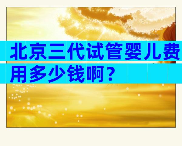 北京三代试管婴儿费用多少钱啊？