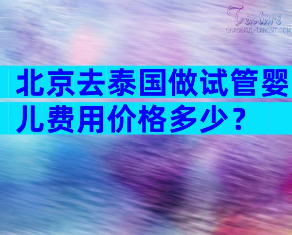 北京去泰国做试管婴儿费用价格多少？