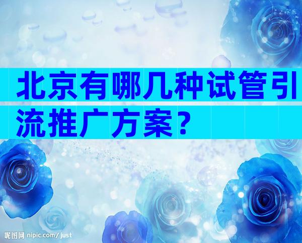 北京有哪几种试管引流推广方案？