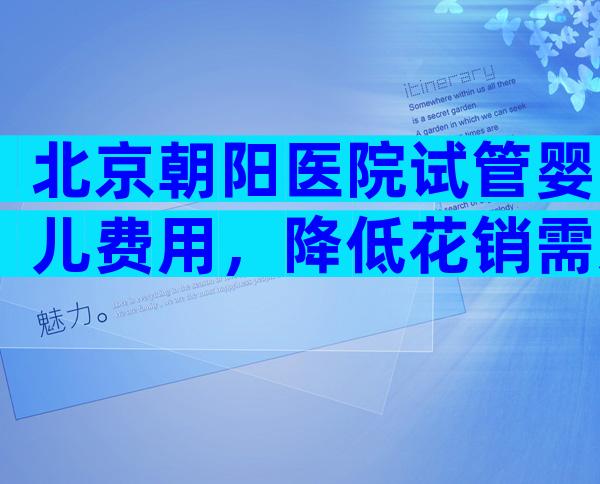 北京朝阳医院试管婴儿费用，降低花销需从3方面入手