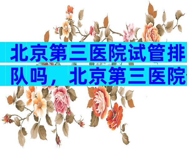 北京第三医院试管排队吗，北京第三医院做试管婴儿大约要多少钱