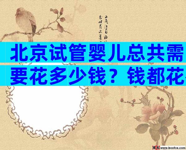 北京试管婴儿总共需要花多少钱？钱都花在哪了？