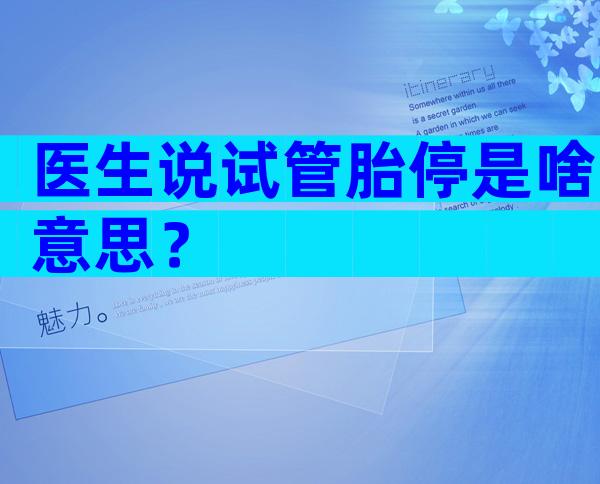 医生说试管胎停是啥意思？