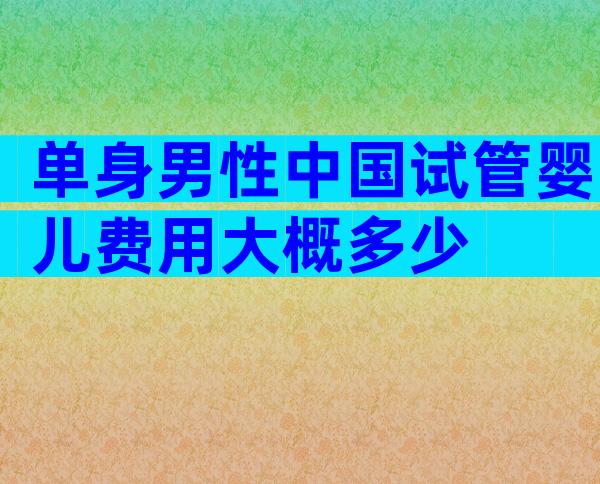 单身男性中国试管婴儿费用大概多少