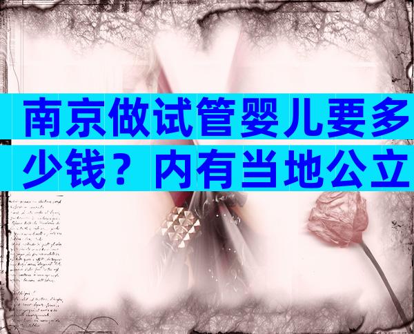 南京做试管婴儿要多少钱？内有当地公立医院价格表！