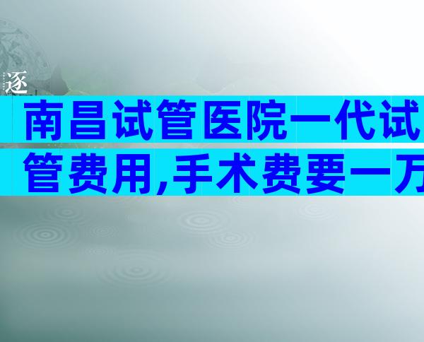 南昌试管医院一代试管费用,手术费要一万元？