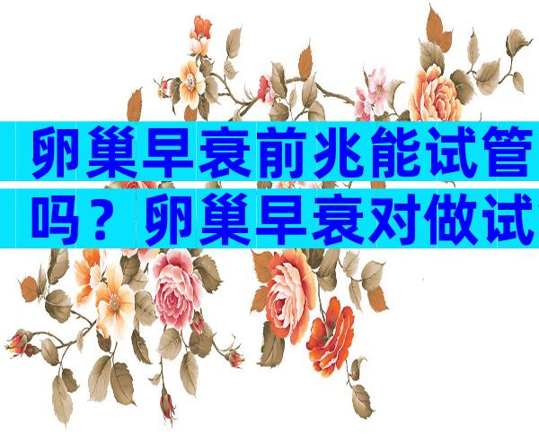 卵巢早衰前兆能试管吗？卵巢早衰对做试管成功几率应该有多少？