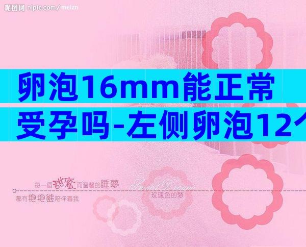 卵泡16mm能正常受孕吗-左侧卵泡12个什么意思