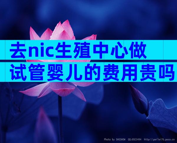 去nic生殖中心做试管婴儿的费用贵吗，贵在哪里？