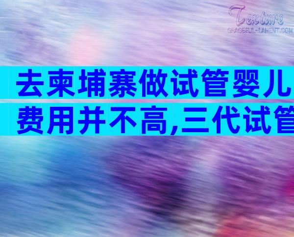 去柬埔寨做试管婴儿费用并不高,三代试管花费高吗