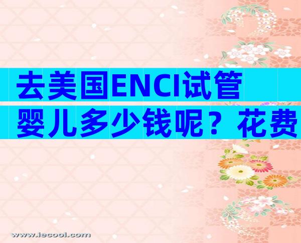 去美国ENCI试管婴儿多少钱呢？花费明细是什么？