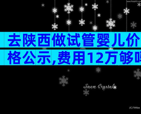 去陕西做试管婴儿价格公示,费用12万够吗？