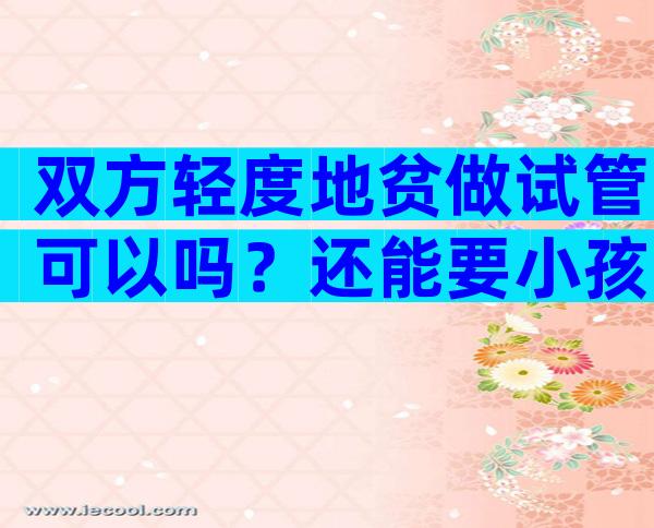 双方轻度地贫做试管可以吗？还能要小孩吗