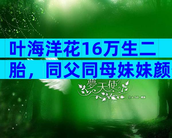 叶海洋花16万生二胎，同父同母妹妹颜值高，生父身份曝光引热议