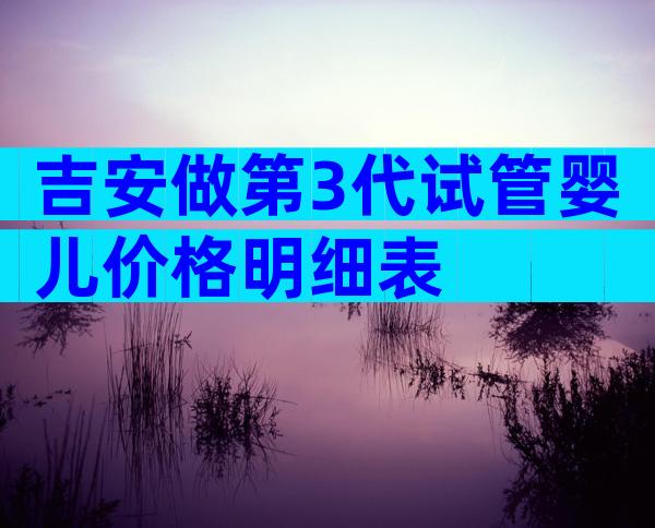 吉安做第3代试管婴儿价格明细表