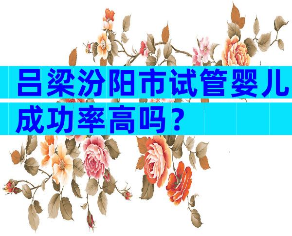 吕梁汾阳市试管婴儿成功率高吗？