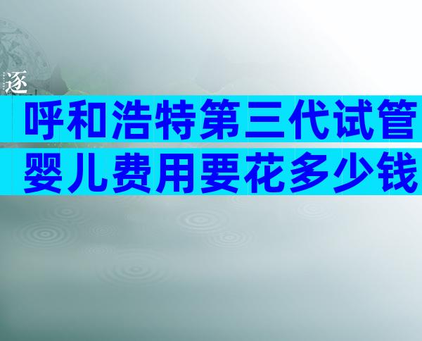 呼和浩特第三代试管婴儿费用要花多少钱？