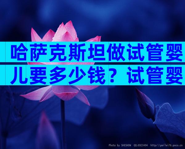 哈萨克斯坦做试管婴儿要多少钱？试管婴儿步骤怎样？