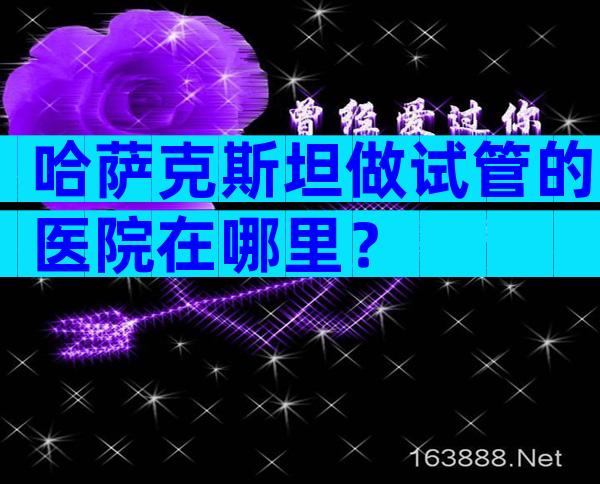 哈萨克斯坦做试管的医院在哪里？