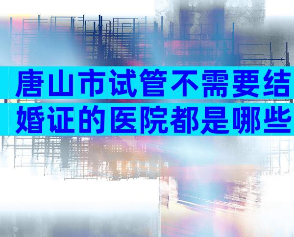 唐山市试管不需要结婚证的医院都是哪些