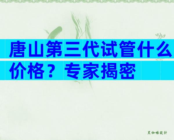 唐山第三代试管什么价格？专家揭密