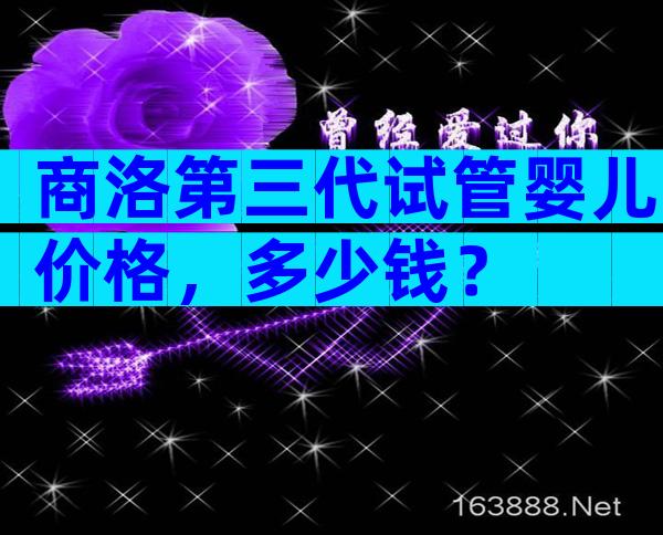 商洛第三代试管婴儿价格，多少钱？