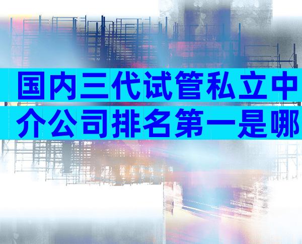 国内三代试管私立中介公司排名第一是哪家