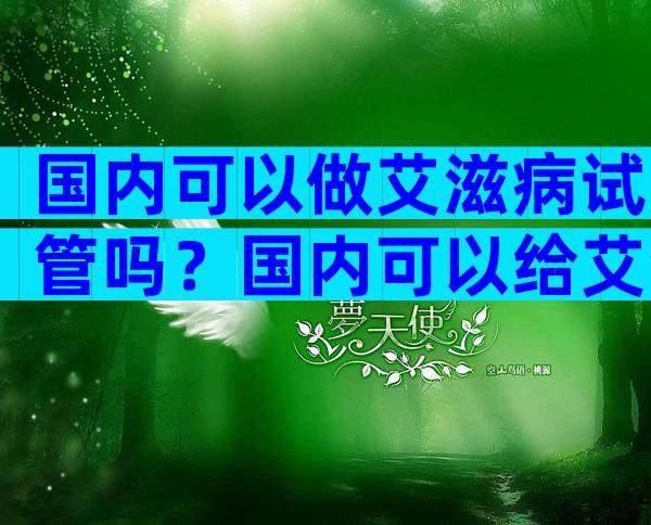 国内可以做艾滋病试管吗？国内可以给艾滋病人做试管吗？