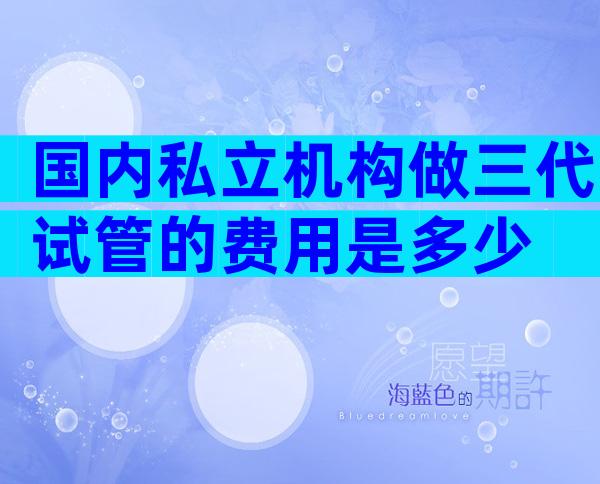 国内私立机构做三代试管的费用是多少