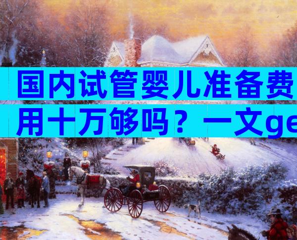 国内试管婴儿准备费用十万够吗？一文get单周期试管费用