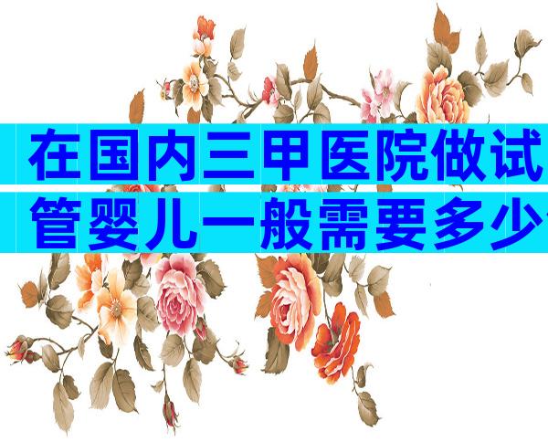 在国内三甲医院做试管婴儿一般需要多少钱？