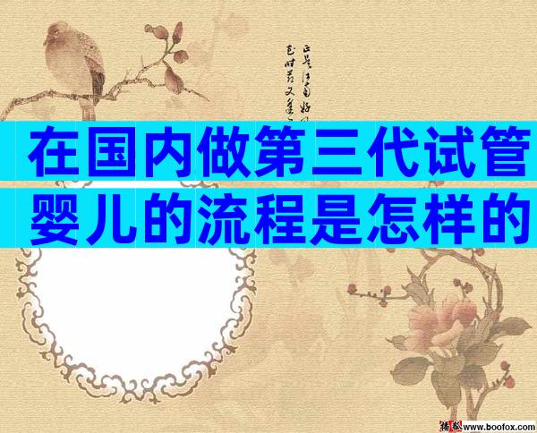 在国内做第三代试管婴儿的流程是怎样的，在国内做第三代试管婴儿的费用是多少？