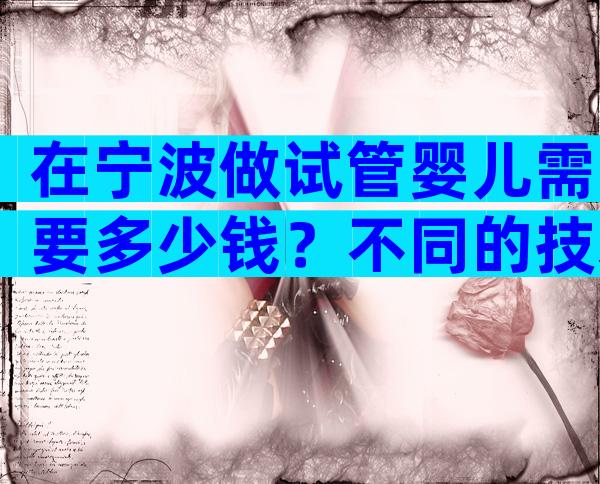 在宁波做试管婴儿需要多少钱？不同的技术成本是不同的。