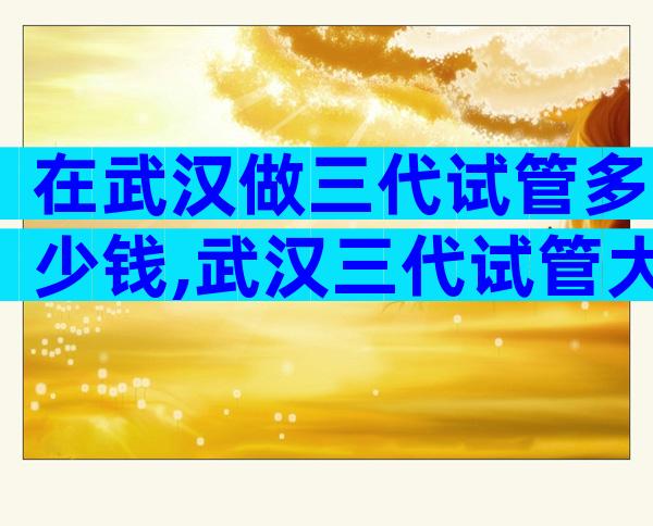 在武汉做三代试管多少钱,武汉三代试管大概费用