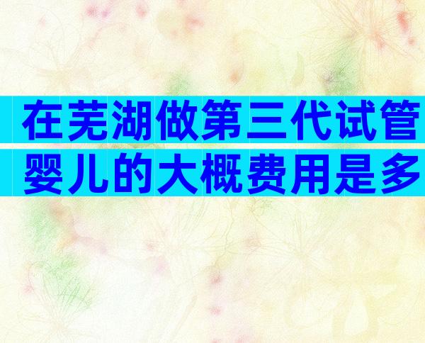 在芜湖做第三代试管婴儿的大概费用是多少？影响费用的因素有哪些？