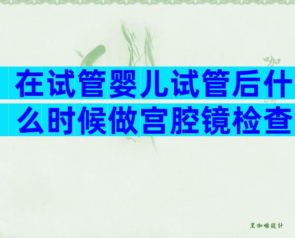 在试管婴儿试管后什么时候做宫腔镜检查较好？