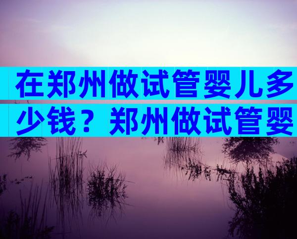 在郑州做试管婴儿多少钱？郑州做试管婴儿多少钱啊？