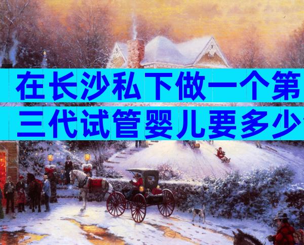 在长沙私下做一个第三代试管婴儿要多少钱，具体费用包含在内？