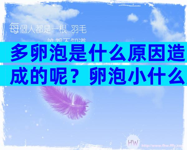 多卵泡是什么原因造成的呢？卵泡小什么原因导致的？