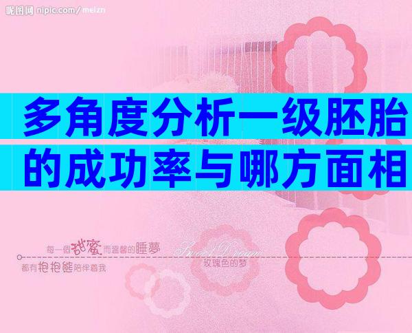 多角度分析一级胚胎的成功率与哪方面相关