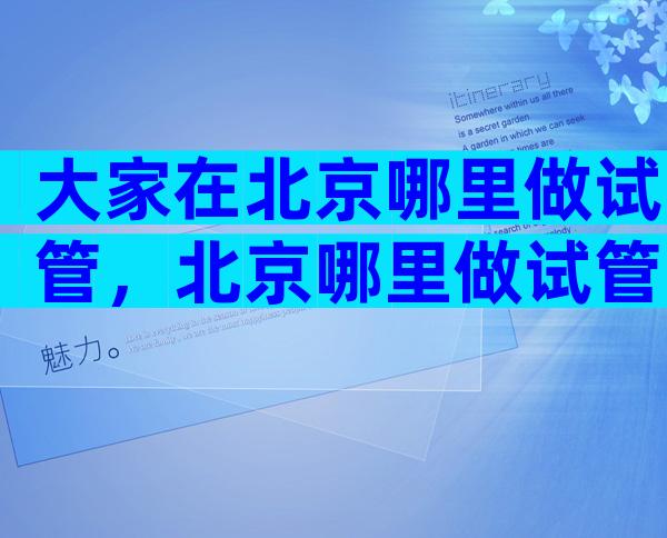 大家在北京哪里做试管，北京哪里做试管比较好