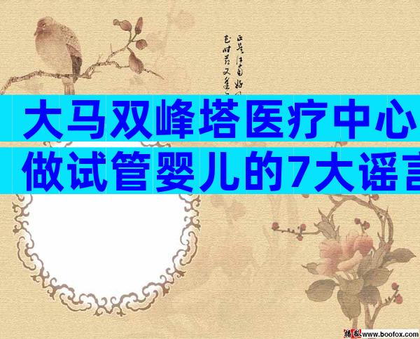 大马双峰塔医疗中心做试管婴儿的7大谣言