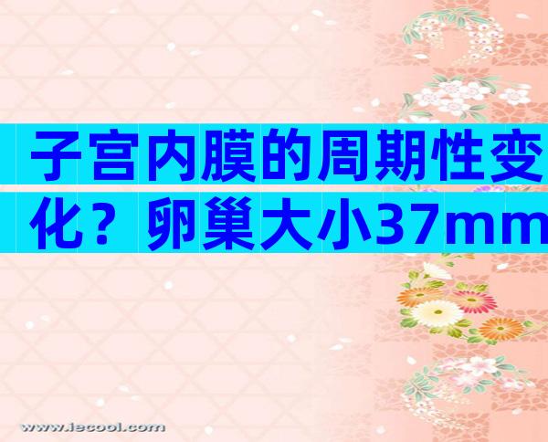 子宫内膜的周期性变化？卵巢大小37mm正常吗？