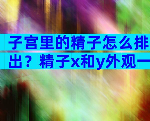 子宫里的精子怎么排出？精子x和y外观一样吗？