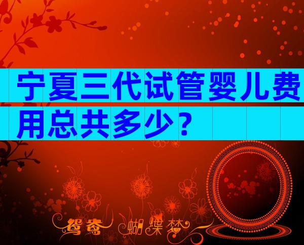 宁夏三代试管婴儿费用总共多少？