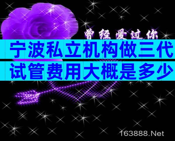 宁波私立机构做三代试管费用大概是多少