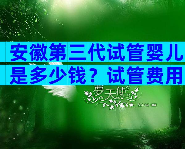 安徽第三代试管婴儿是多少钱？试管费用明细公布