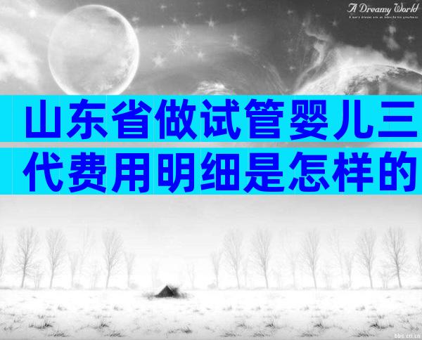 山东省做试管婴儿三代费用明细是怎样的？